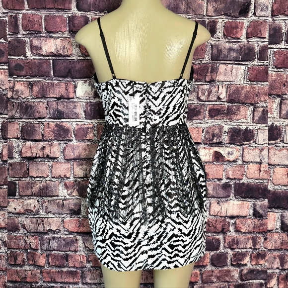 Wild Nights Zebra Sequin Fringe Dress - Picture 6 of 9